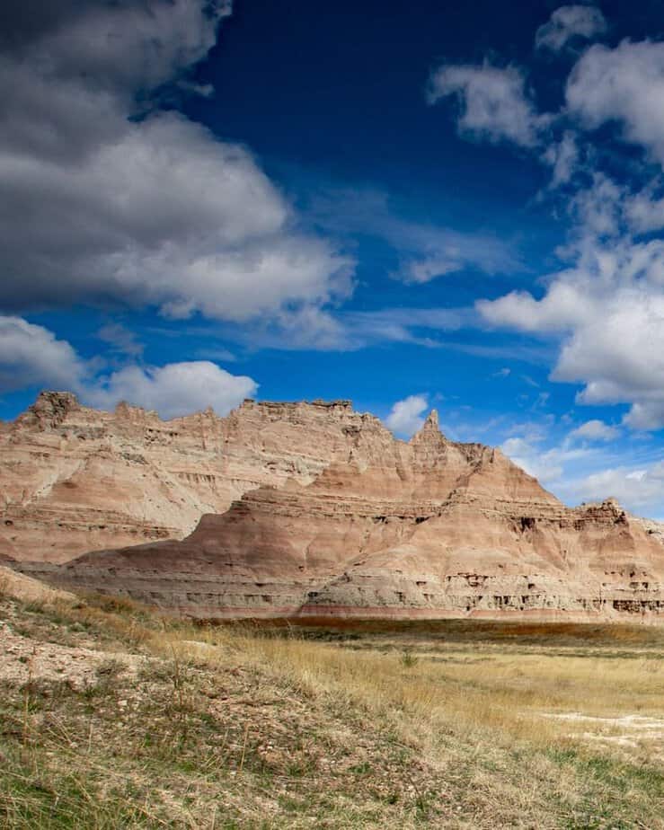 Look for Bison and Bighorn Sheep in Sage Creek Wilderness Area