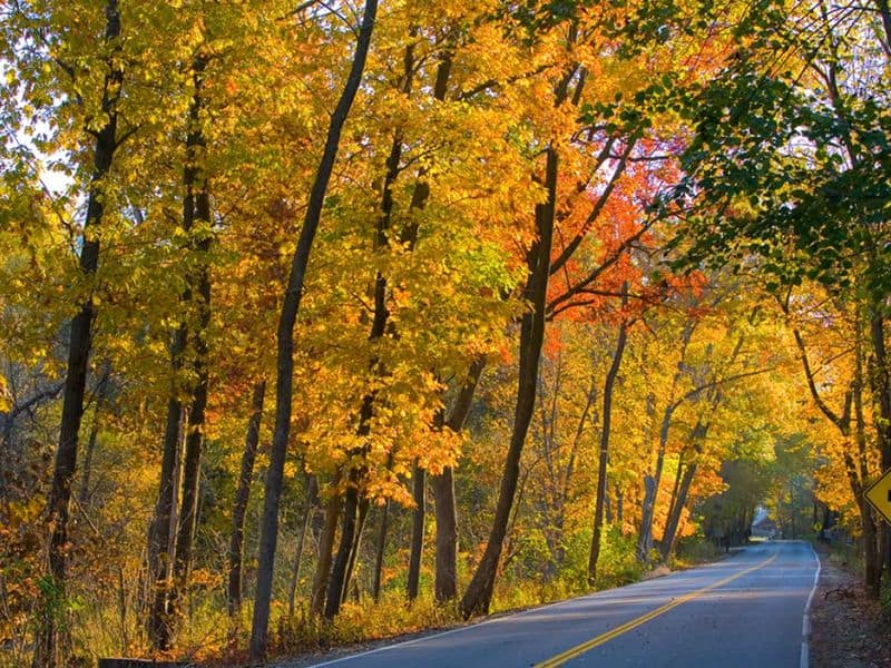10 Stunning Illinois Drives That’ll Take Your Breath Away Spoon River Valley