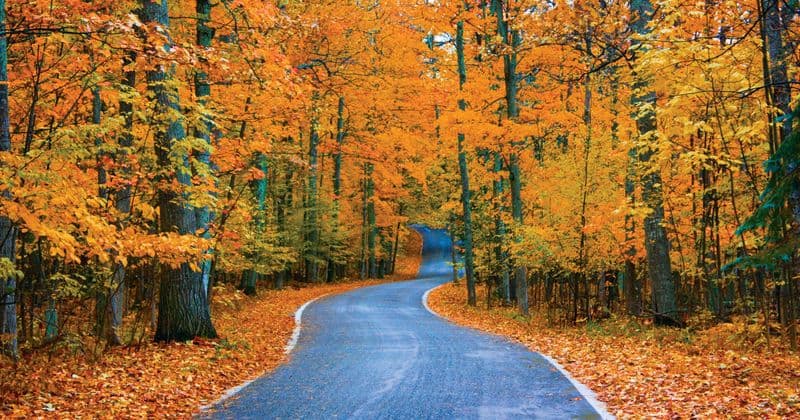 10 Stunning Illinois Drives That’ll Take Your Breath Away Wabash River Wines