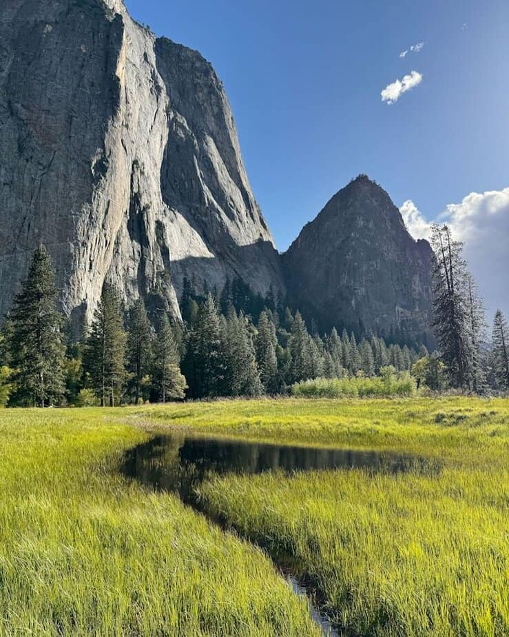 10 Stunning Places in Yosemite National Park That Will Take Your Breath Away El Capitan Meadow