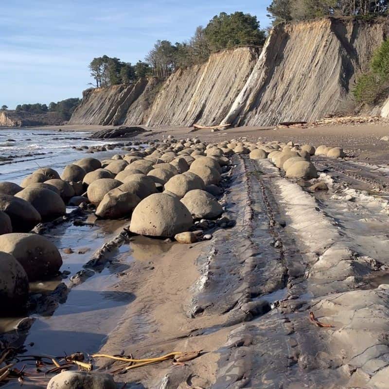Bowling Ball Beach – Mendocino County