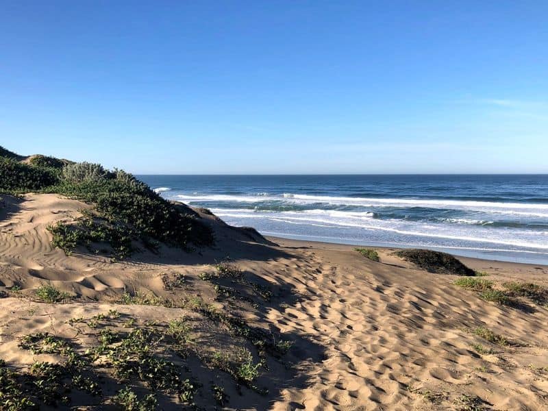 Montaña de Oro State Park – Los Osos