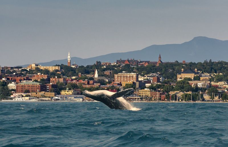 10 Unforgettable New England Destinations That'll Upgrade Any Road Trip Burlington & Lake Champlain, Vermont