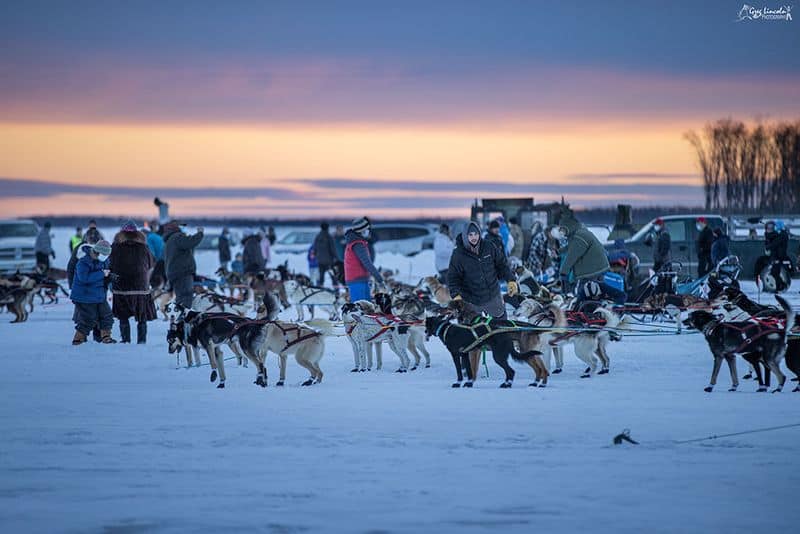 Catch the Kuskokwim 300 Sled Dog Race