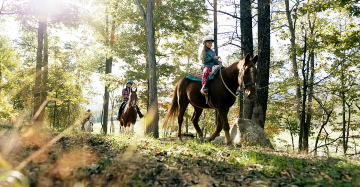 10 outdoor adventures to have in cacapon state park west virginia