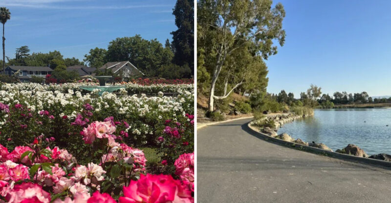 10 San Jose Parks Where You Can Escape the City Hustle and Relax