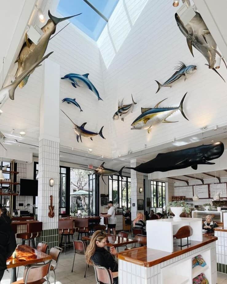 Bear Flag Fish Co. — Newport Beach