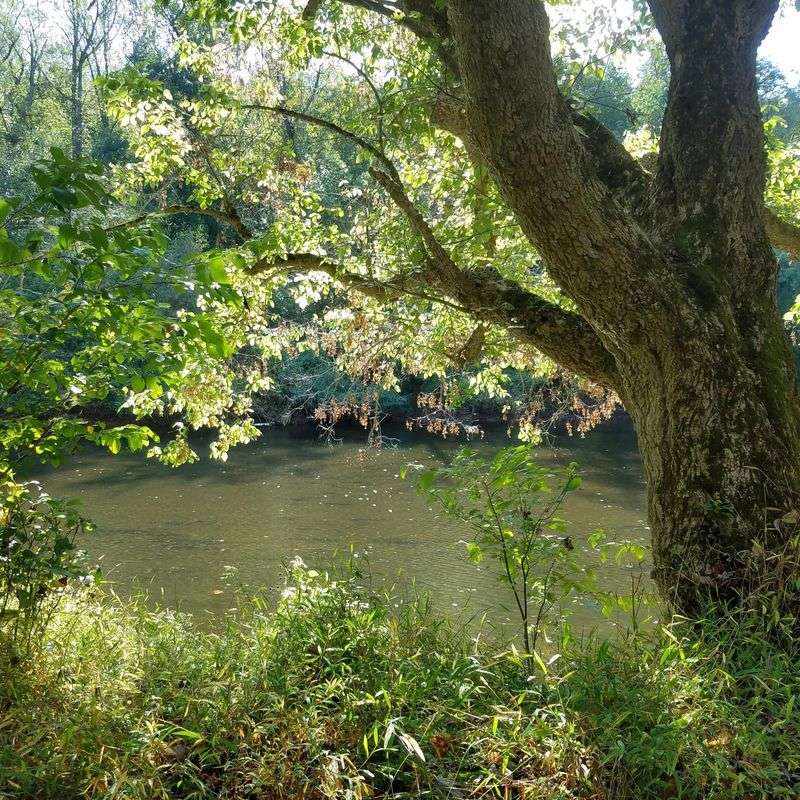 Brandywine Creek State Park & Rockford Park