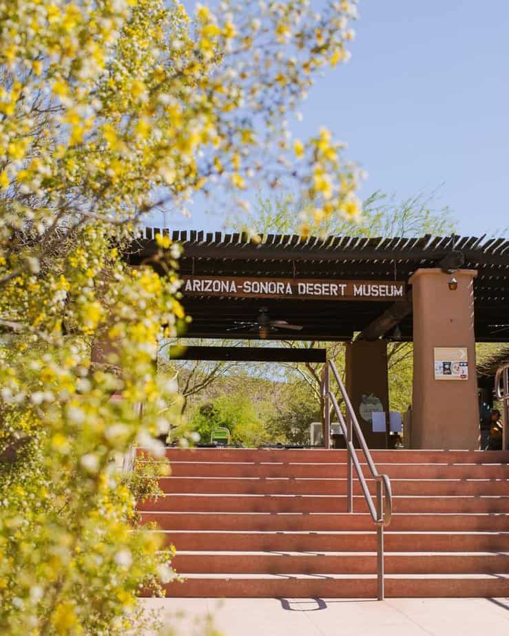 Arizona‑Sonora Desert Museum – Tucson, AZ