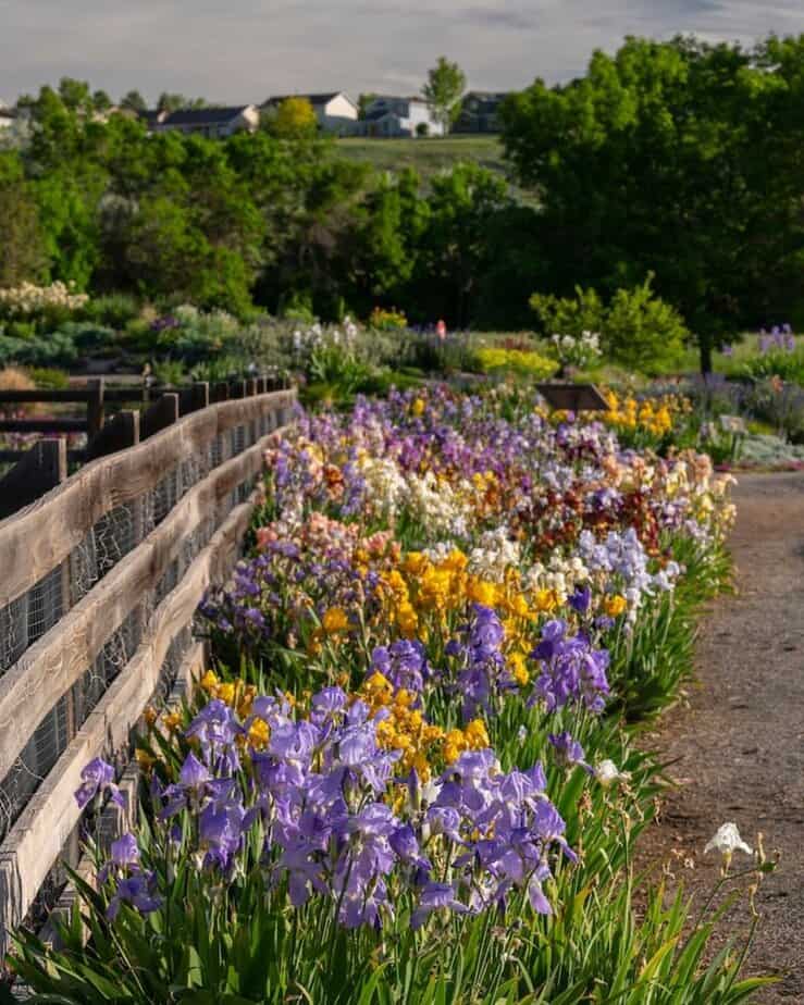 Take a Stroll Through the Denver Botanic Gardens