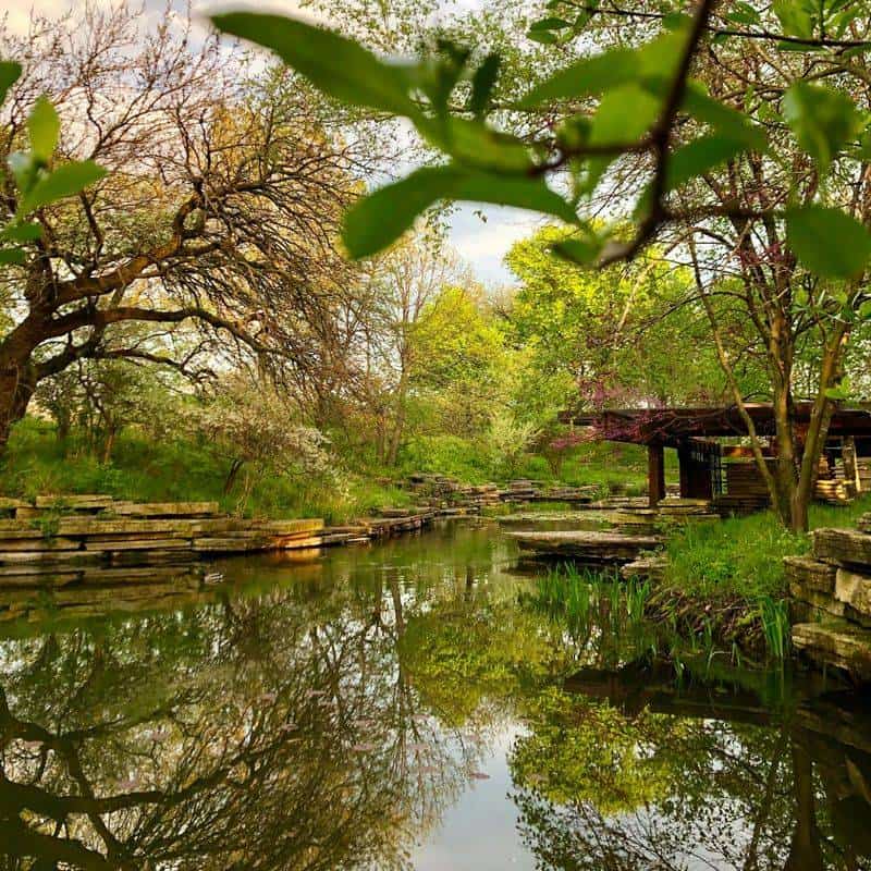 Alfred Caldwell Lily Pool