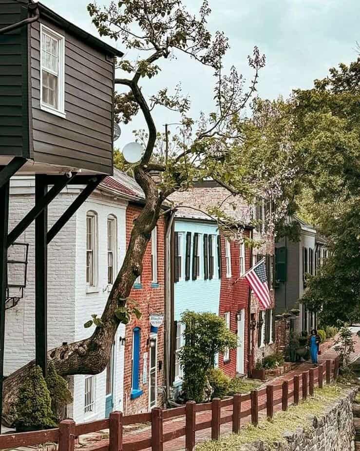 Walk Through Georgetown