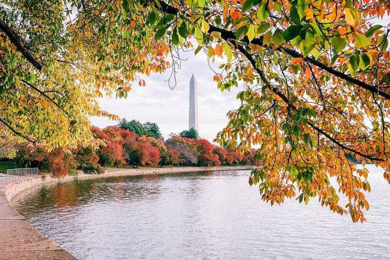 Enjoy a Sunset at the Tidal Basin