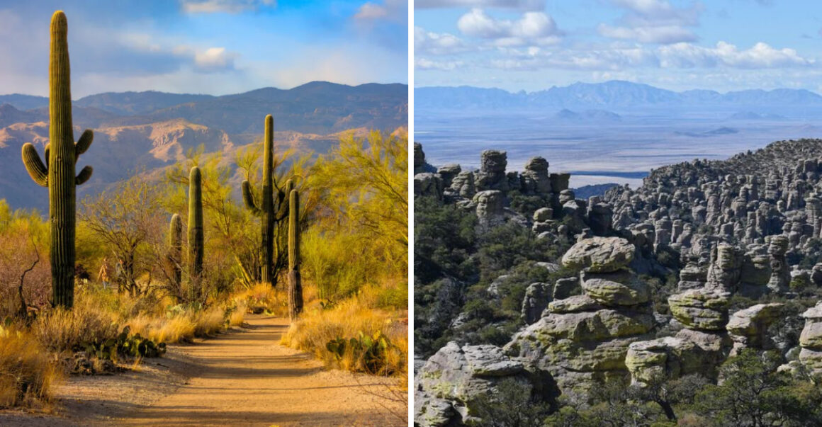11 Perfect Pit Stops to Break Up Your I-10 Drive from Arizona to New Mexico