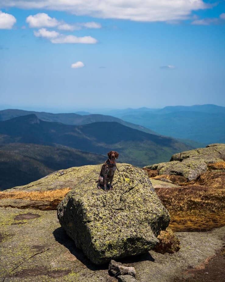 12 Adirondacks Activities That Showcase New York's Wild Side Hike to the Summit of Mount Marcy
