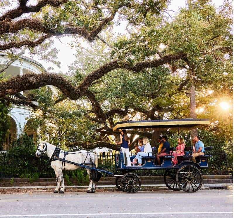 12 Epic Things to Do on a Girls' Weekend in Charleston, SC Take a Historic Carriage Ride