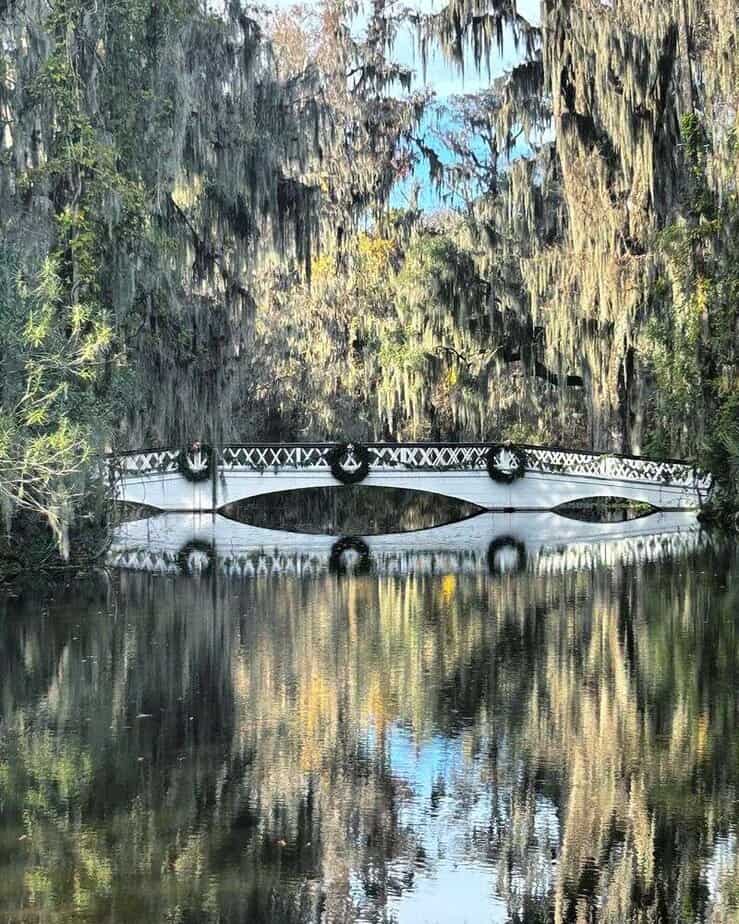 12 Epic Things to Do on a Girls' Weekend in Charleston, SC Visit Magnolia Plantation & Gardens