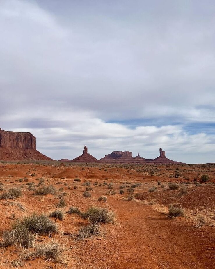 Walk the Wildcat Trail