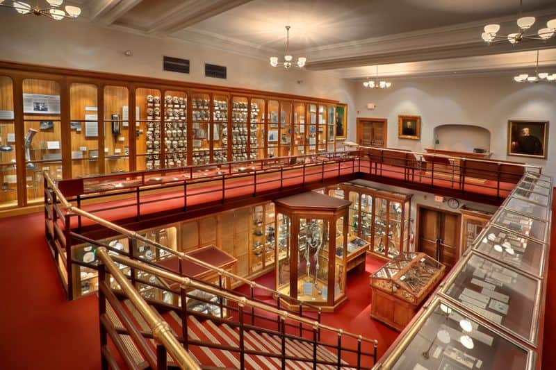 Get Weirded Out by The Mütter Museum