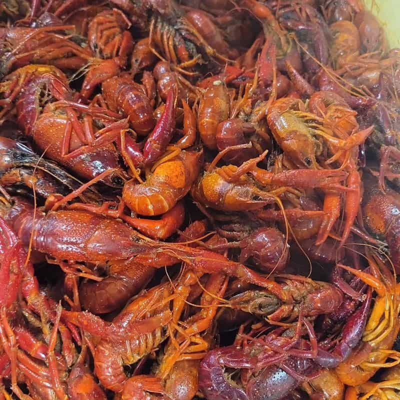 13 Cajun Restaurants in New Orleans That'll Set Your Taste Buds on Fire Cajun Seafood