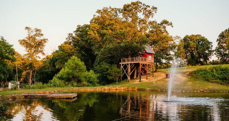 13 Dreamy Romantic Getaways in North Carolina for Couples Treehouse Vineyards: Monroe Wine Country