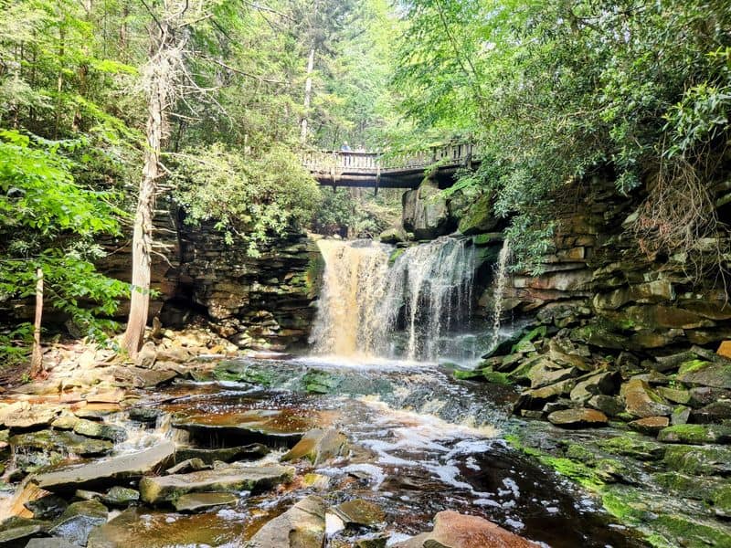 Blackwater Falls State Park – Davis