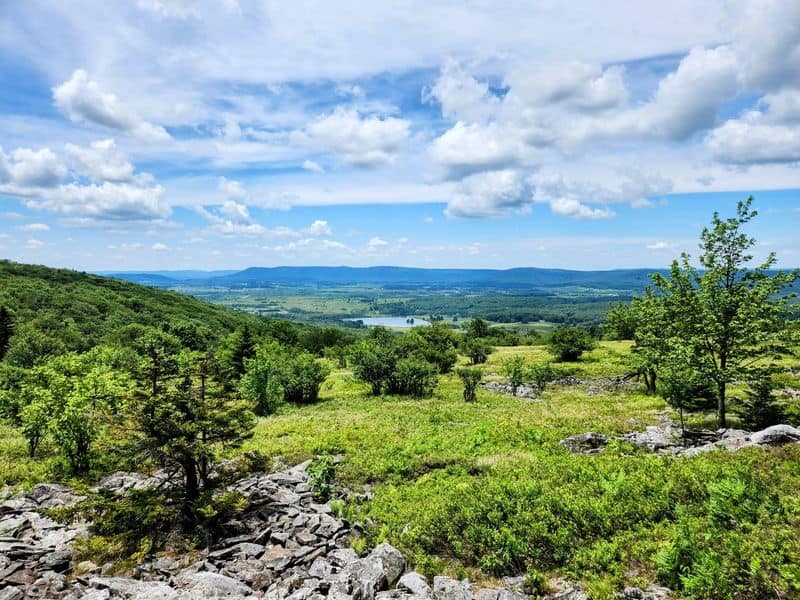 Dolly Sods Wilderness – Monongahela National Forest