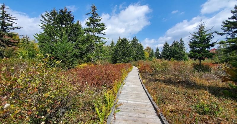 Cranberry Glades Botanical Area – Hillsboro
