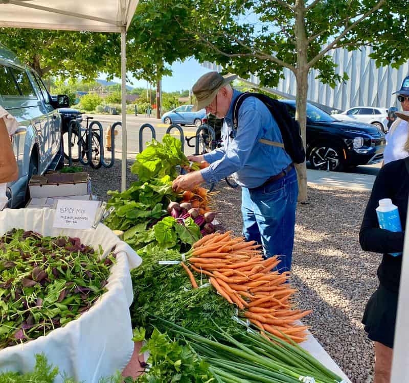 Browse the Santa Fe Farmers' Market at the Railyard