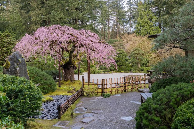 Wander the Japanese Garden (and the Rose Garden Next Door)