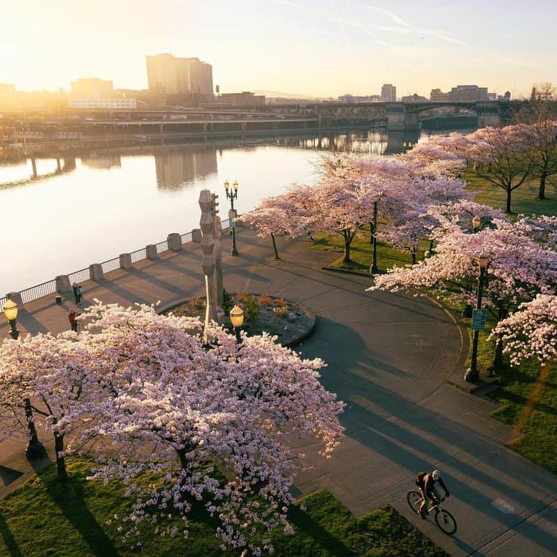Bike (or Walk) the Eastbank Esplanade