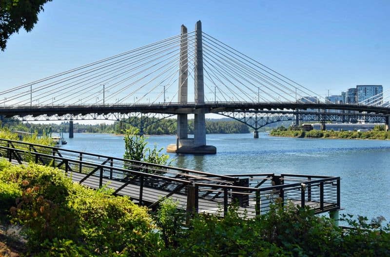 Take a Scenic Drive on the Tilikum Crossing (Bridge of the People)