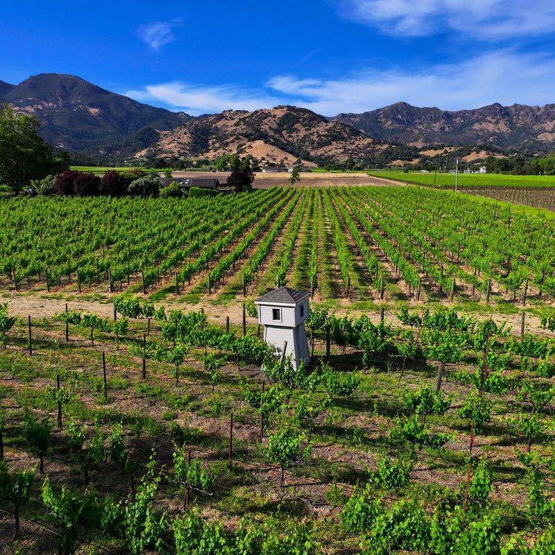 14 California Small Town Gems That Locals Say You Can't Miss Calistoga