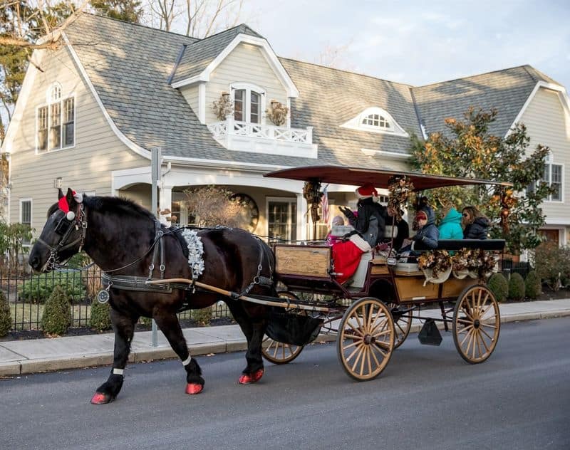 Take a Trolley or Horse-Drawn Carriage Tour