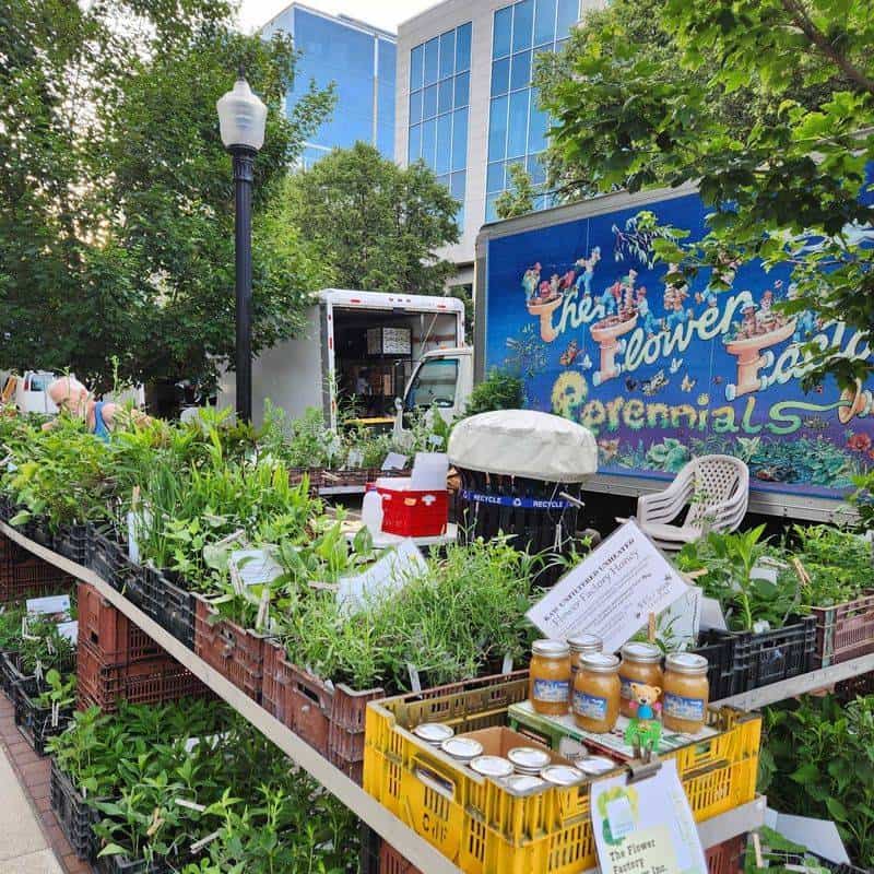 Stroll Through the Dane County Farmers' Market