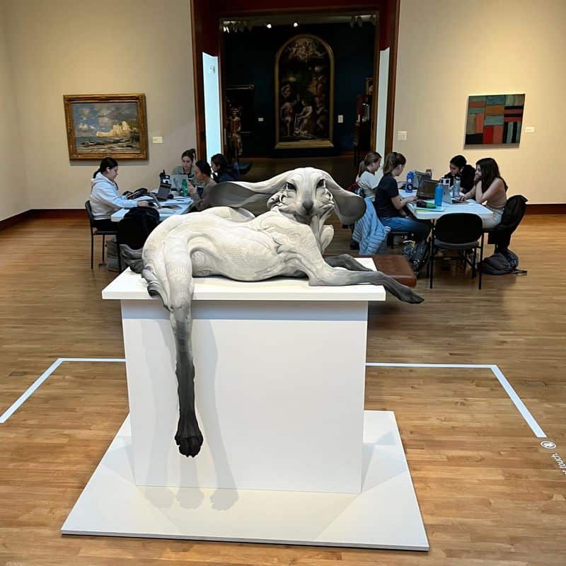 Visit the Chazen Museum of Art