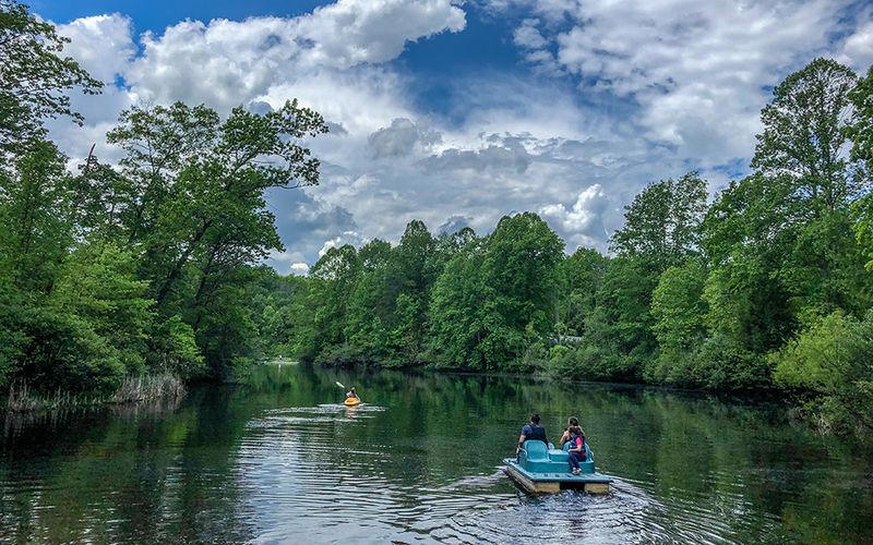 Paddle on Laurel Lake
