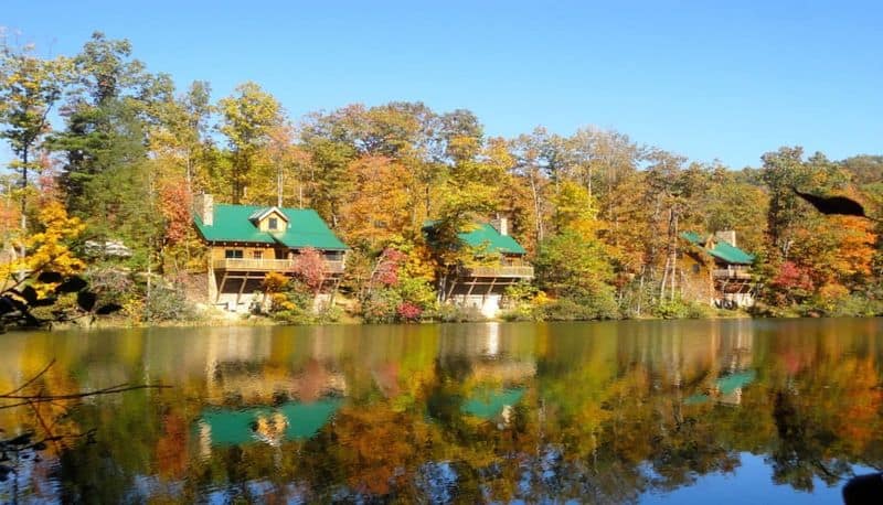 Camp Under the Stars