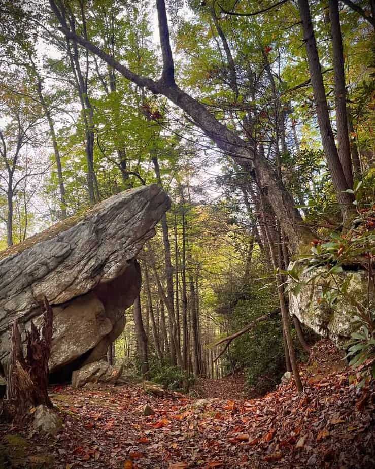 Bike the Mountain Trails