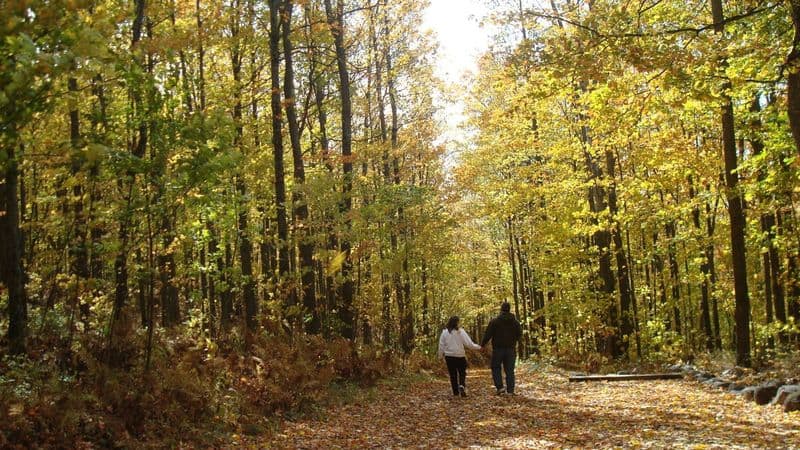 14 Unforgettable Rail Trails Through Northern USA's Best Landscapes Kettle Moraine State Trail (Sheboygan County, Wisconsin)