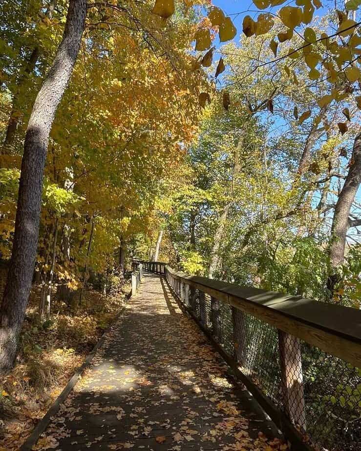 14 Unforgettable Rail Trails Through Northern USA's Best Landscapes White Pine Trail (Grand Rapids, Michigan)