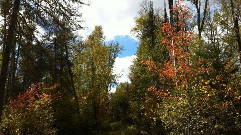 14 Unforgettable Rail Trails Through Northern USA's Best Landscapes Taconite State Trail (Ely, Minnesota)