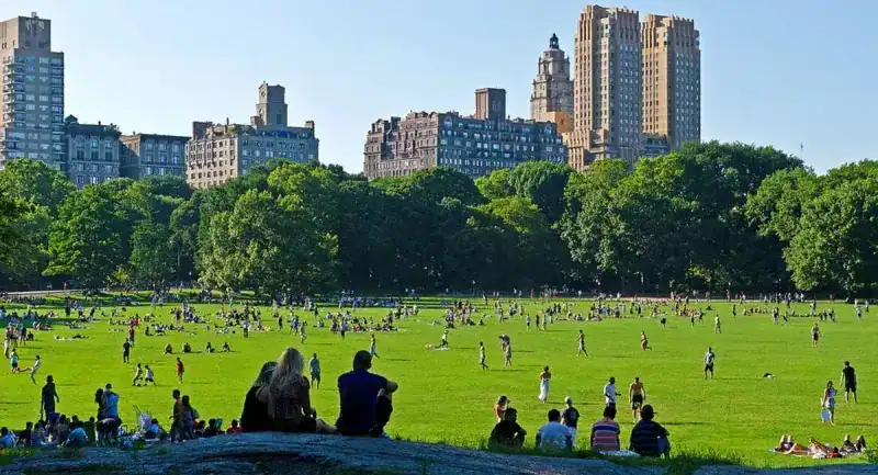 Spend a Day at Central Park
