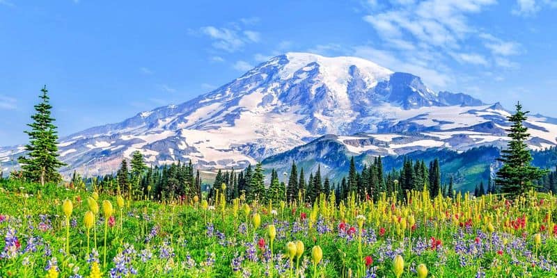 17 Must-See Destinations That Showcase Washington's Beauty Mount Rainier National Park