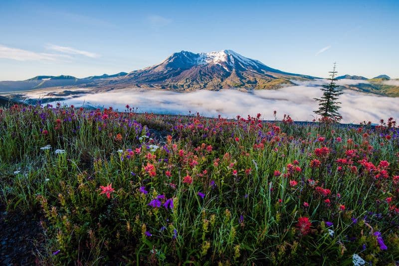 17 Must-See Destinations That Showcase Washington's Beauty Mount St. Helens National Volcanic Monument