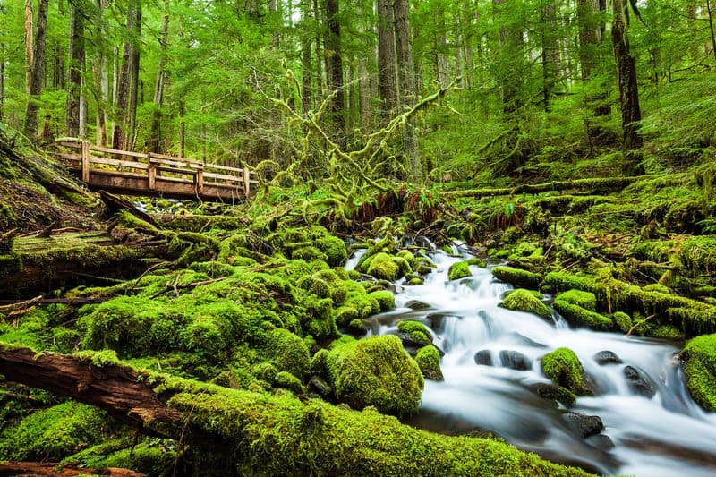 17 Must-See Destinations That Showcase Washington's Beauty Olympic National Park