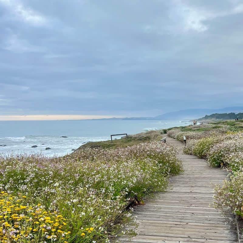 Better Alternative: Cambria