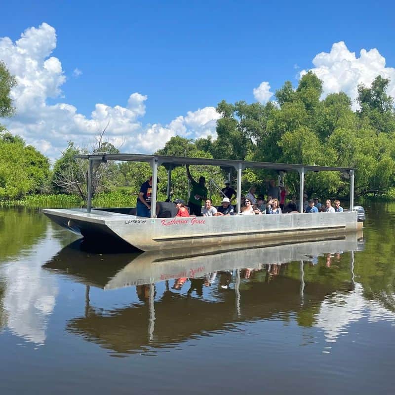Overhyped: Big-Box Swamp Tours from the French Quarter