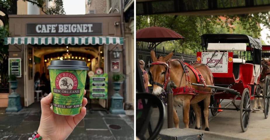 7 Overhyped New Orleans Experiences—and the 7 Underrated Ones Locals Prefer