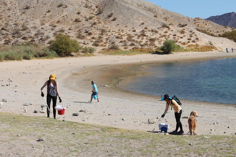 Take a Dip in the Clear Blue Waters